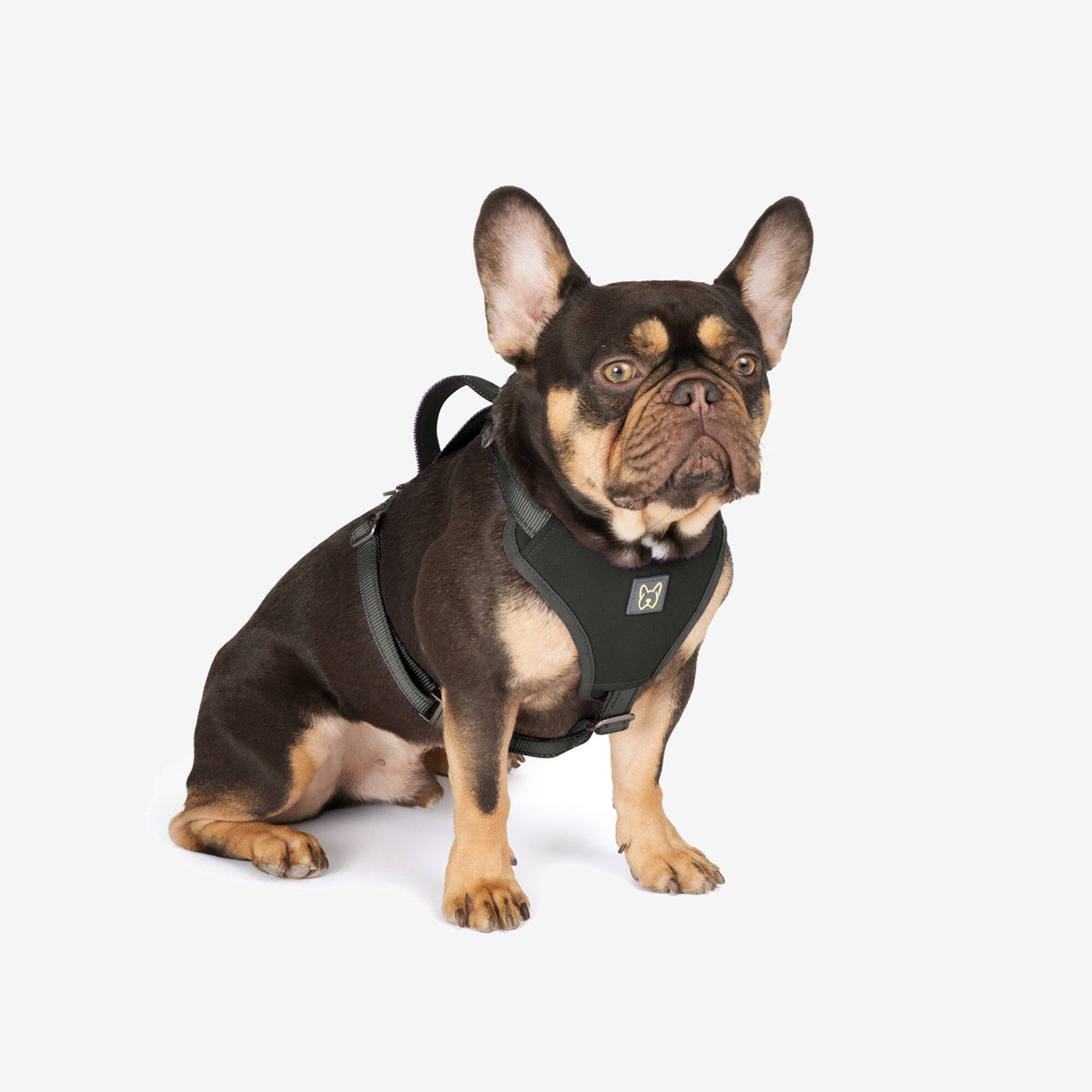 Doggy kingdom harness outlet reviews