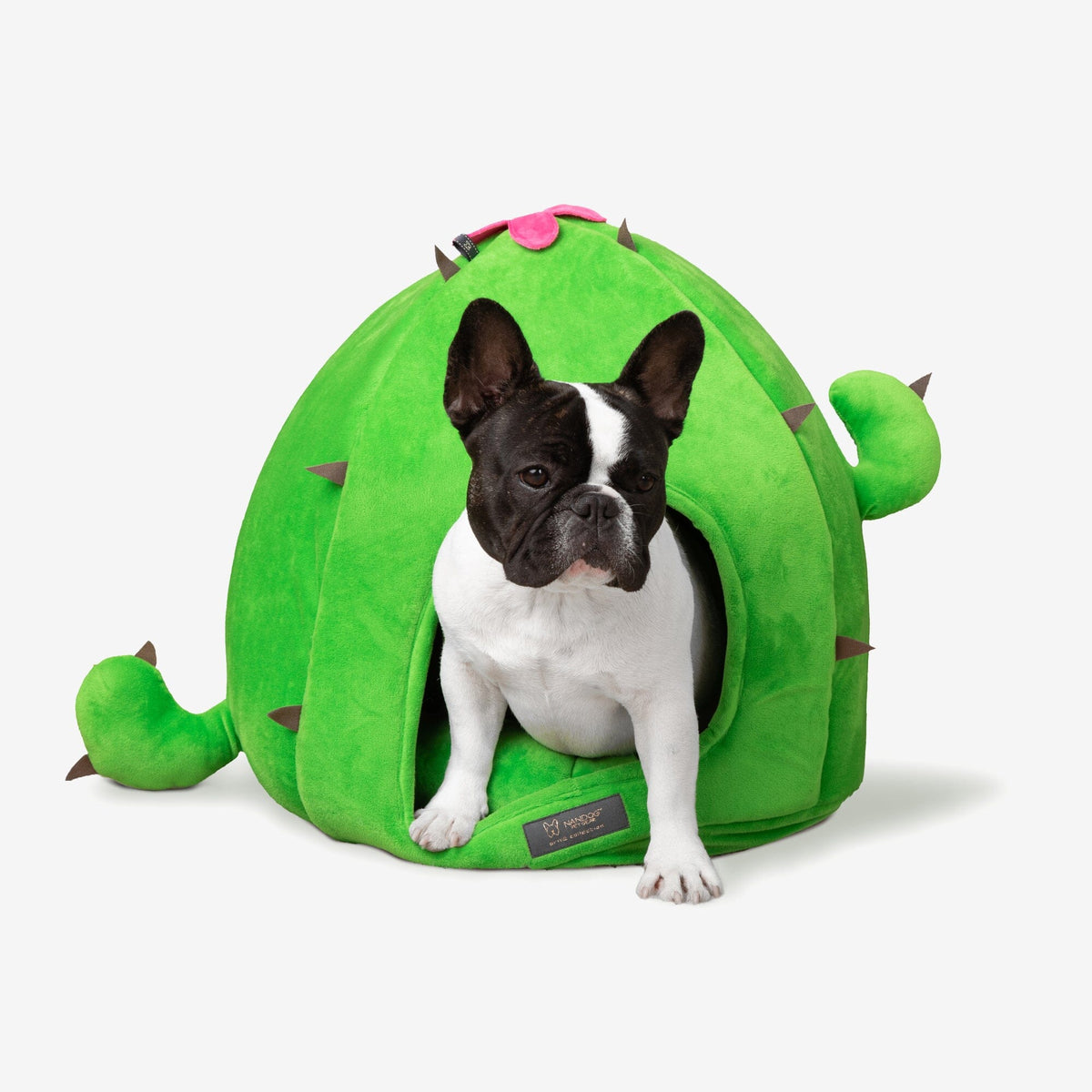 Cactus Dog Cat Fun Bed Prive Collection Nandog Pet Gear