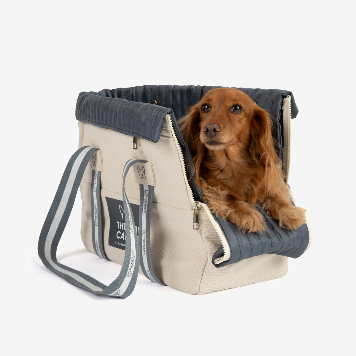 Dog top carrier