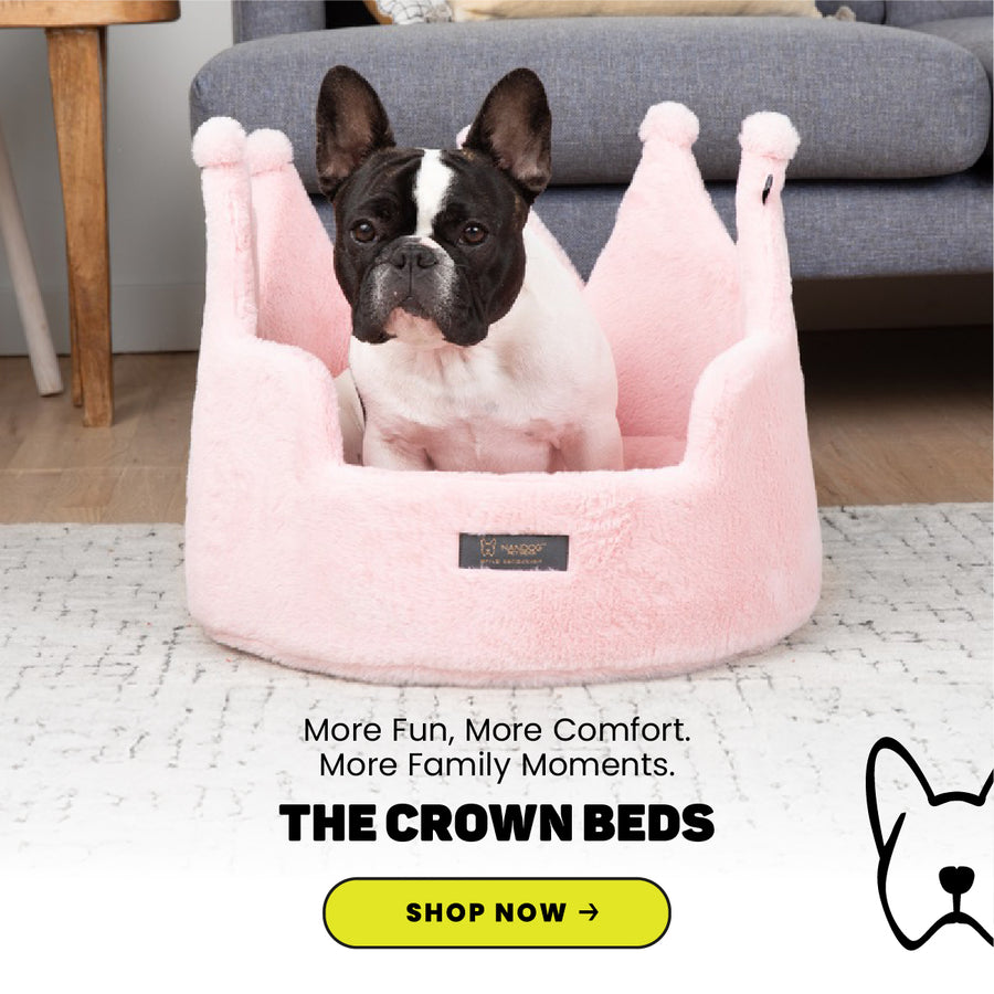 Luxury Dog Beds Plush Toys Comfort Style for Your Furry Friends. Nandog Pet Gear