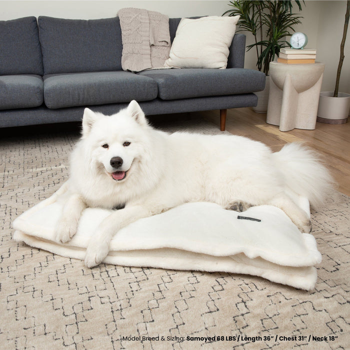 Cloud Removable Cover Large Pillow Dog Bed - Ivory