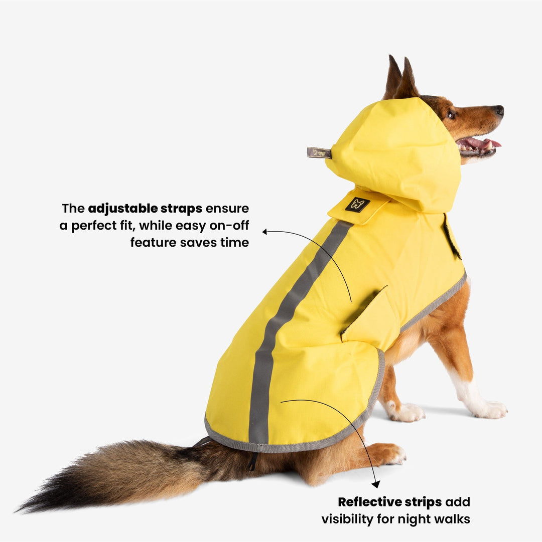 boxer dog raincoat