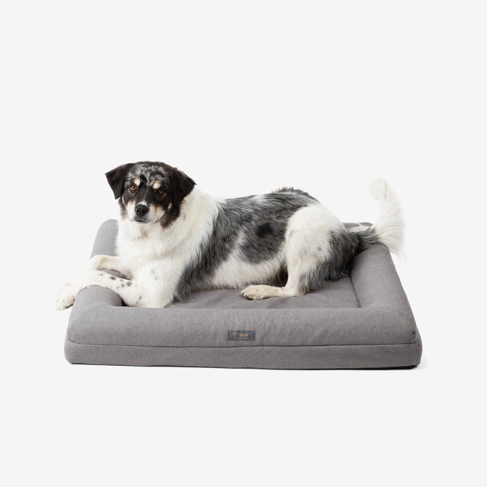 Memory Foam Orthopedic Dog Bed - Large/Gray