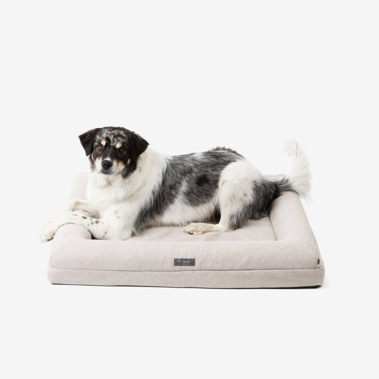 Memory foam shops kennel pad