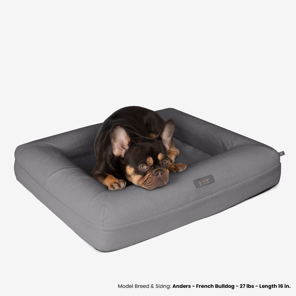 Memory Foam Orthopedic Dog Bed - Medium/Gray