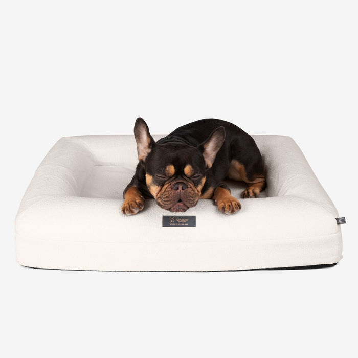 Memory Foam Orthopedic Dog Bed - Medium/Off White