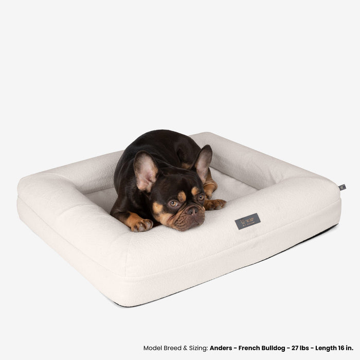 Memory Foam Orthopedic Dog Bed - Medium/Off White