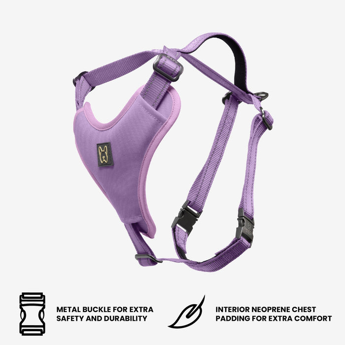 Neoprene Sport Dog Harness - Lilac