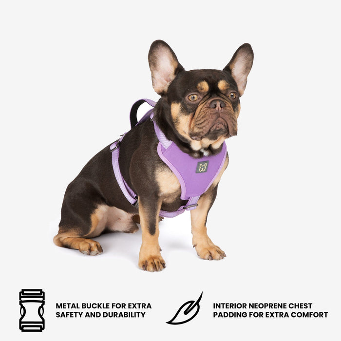 Neoprene Sport Dog Harness - Lilac