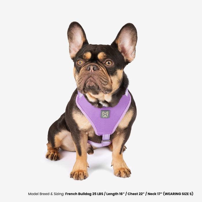 Neoprene Sport Dog Harness - Lilac