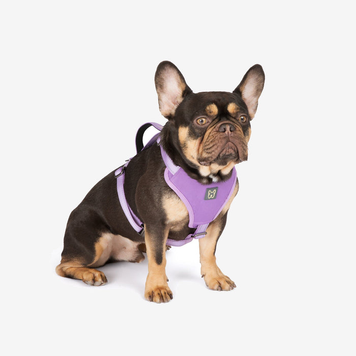 Neoprene Sport Dog Harness - Lilac