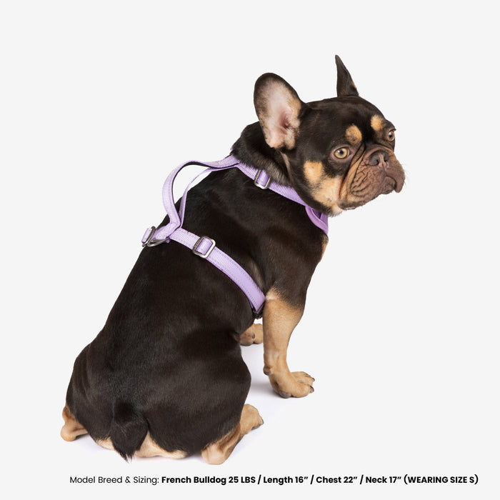 Neoprene Sport Dog Harness - Lilac