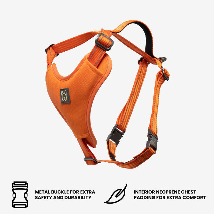 Neoprene Sport Dog Harness - Orange