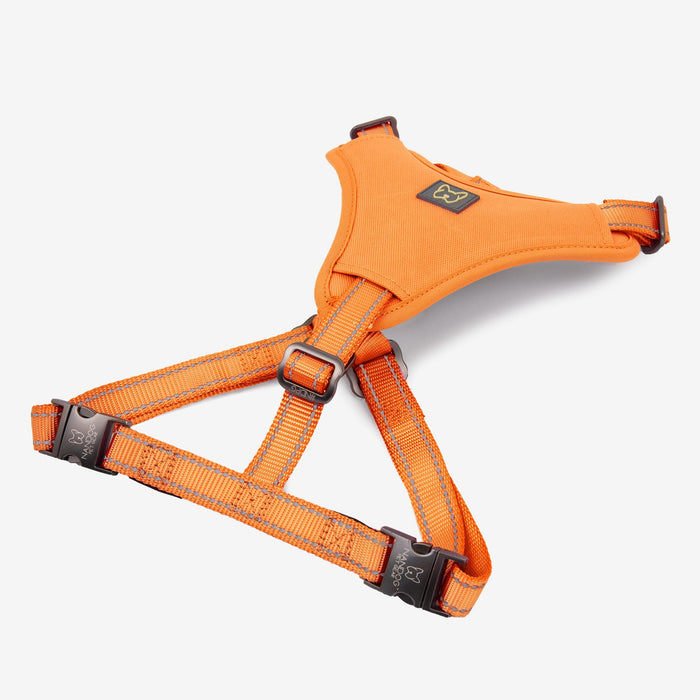 Neoprene Sport Dog Harness - Orange