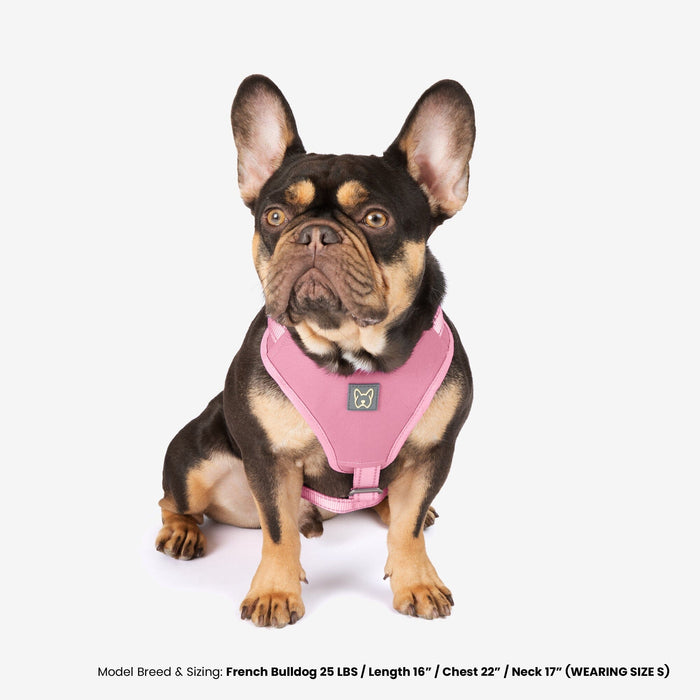 Neoprene Sport Dog Harness - Pink