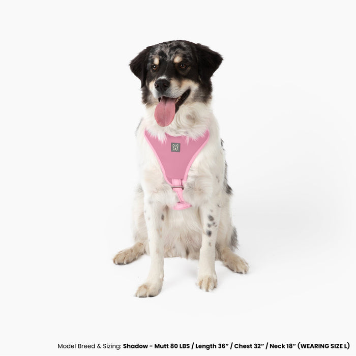 Neoprene Sport Dog Harness - Pink