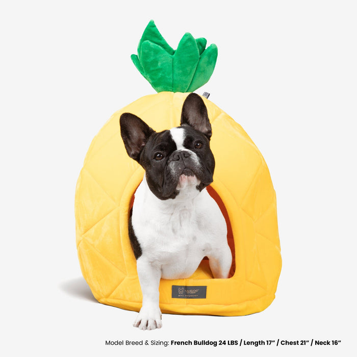 Pineapple Dog & Cat Fun Bed Prive Collection