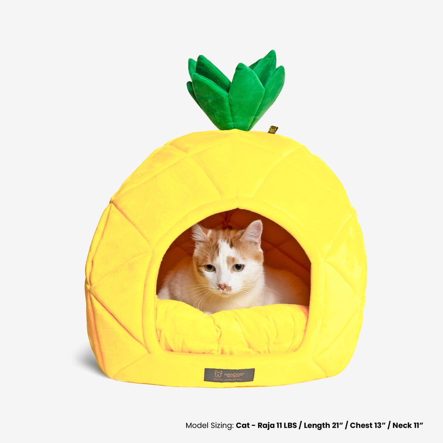 Pineapple bed dog best sale