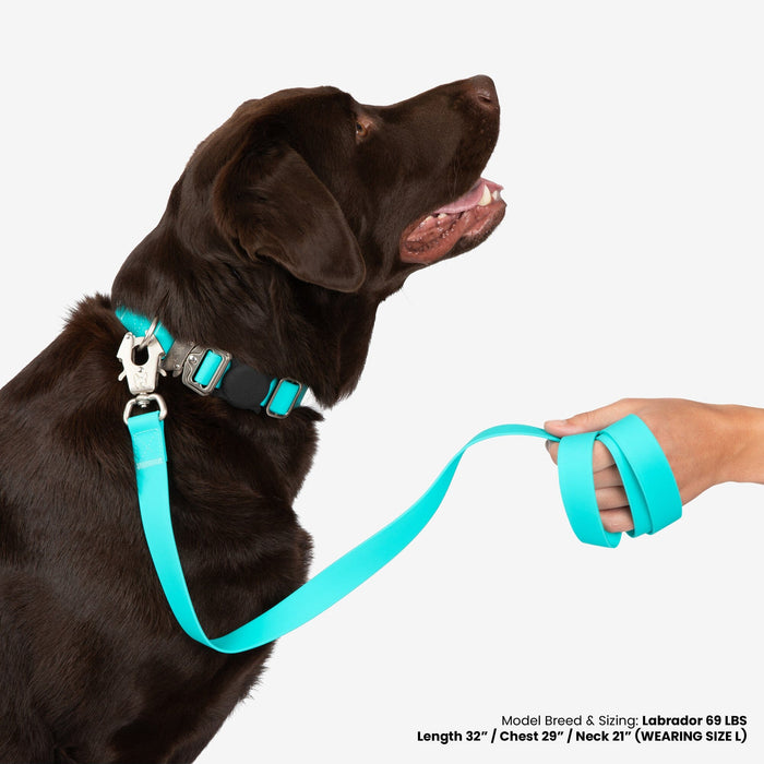 Waterproof Poly-Flex Sport Collar - Aqua Blue