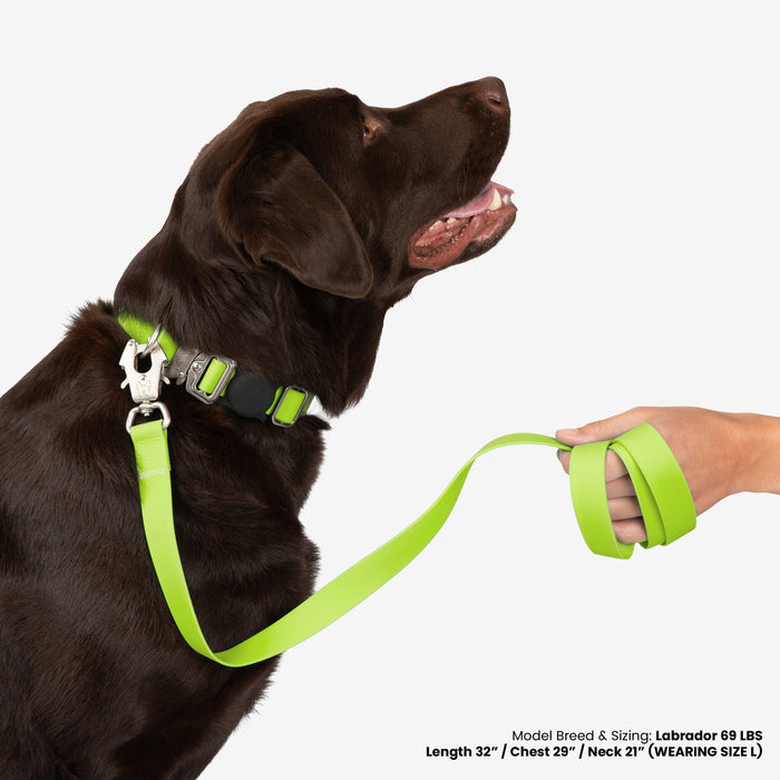 Waterproof Poly-Flex Sport Collar - Neon Geen