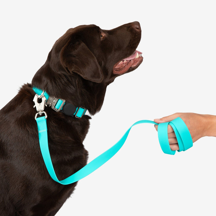 Waterproof Poly-Flex Sport Leash - Aqua Blue