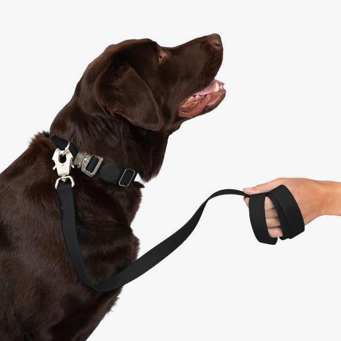 Waterproof Poly-Flex Sport Leash - Black