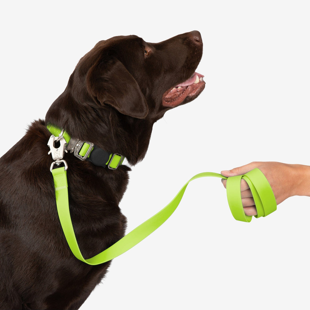 Waterproof Poly-Flex Sport Dog Leash - Neon Green