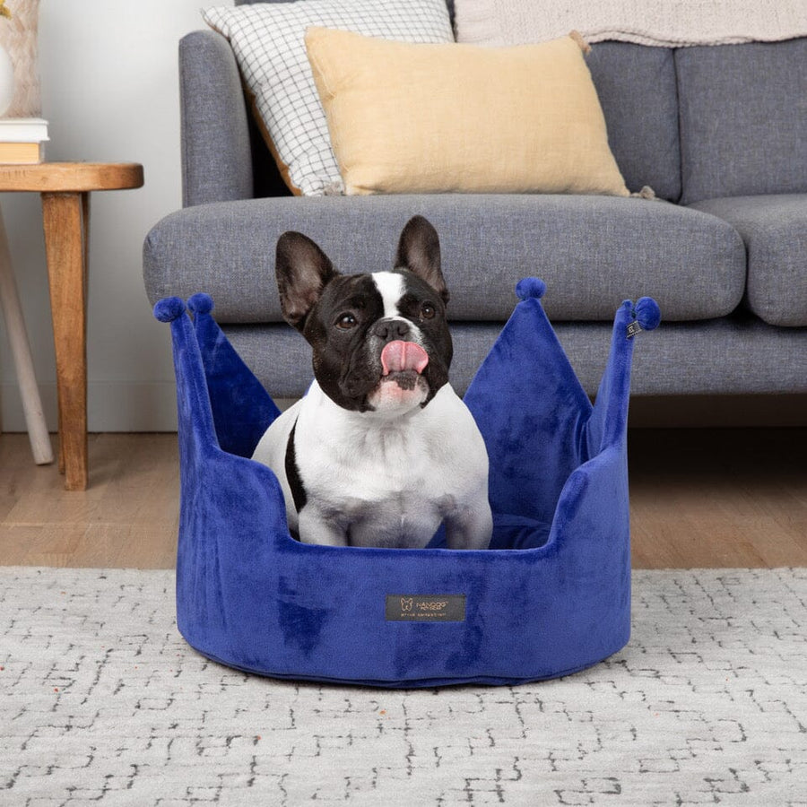 Nandog Royal Blue Crown Bed