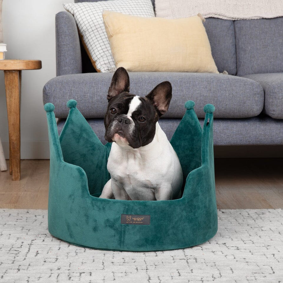 Nandog pet bed crown hotsell