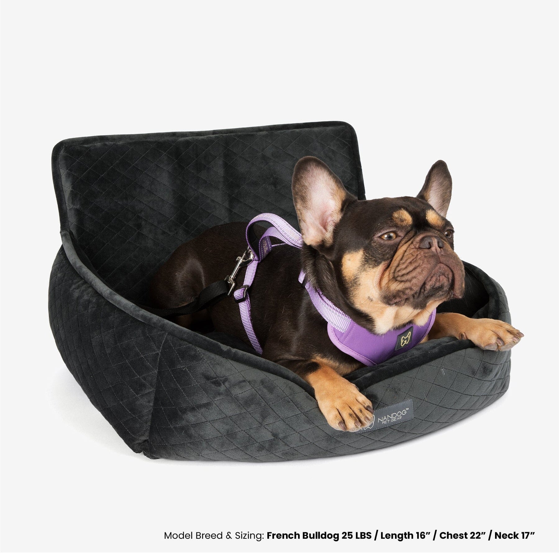 Dog Cat Beds, Car Seat, Toys - #1 Pet Store Nandog Pet Gear – Nandog Pet  Gear™