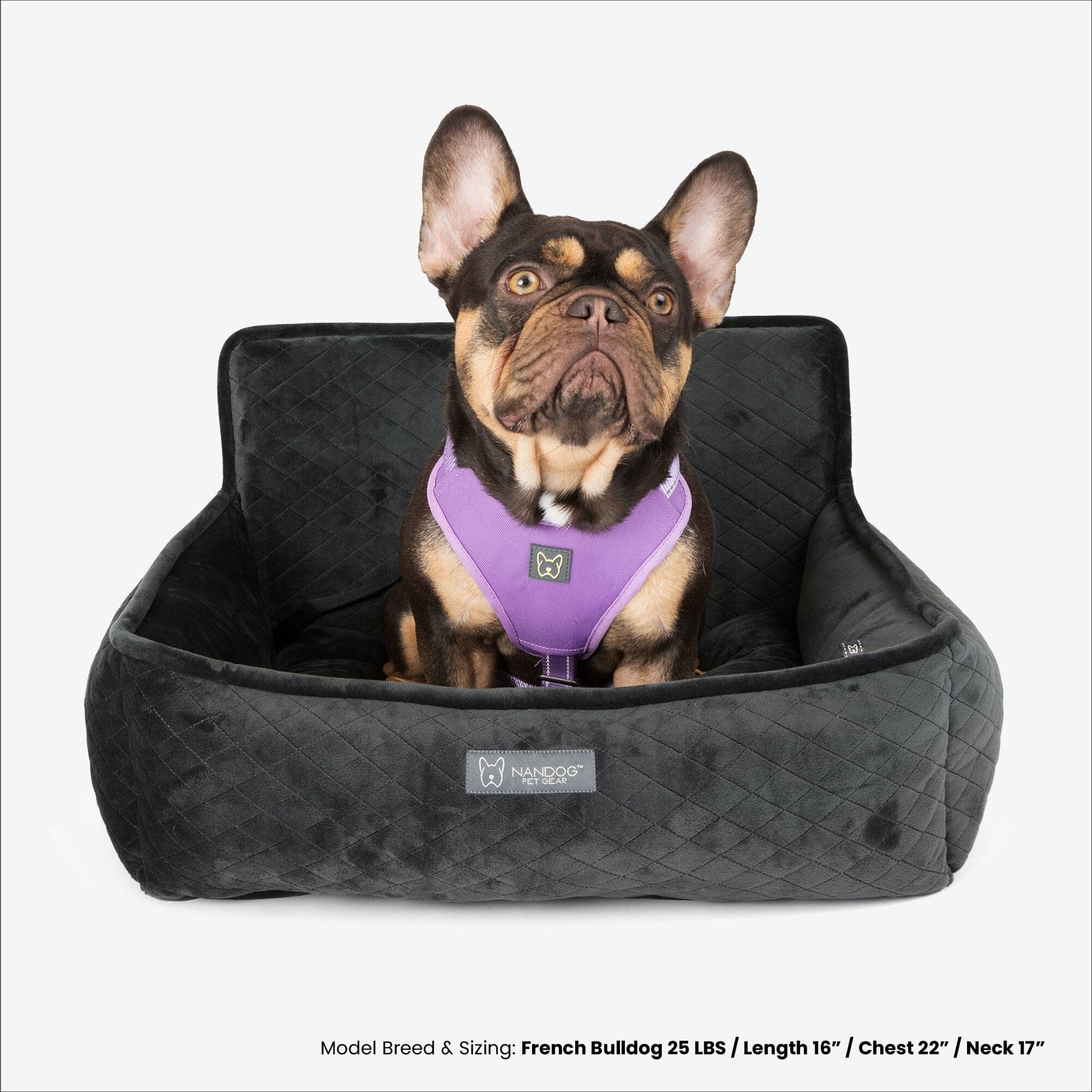 Car Seat – grand puppy