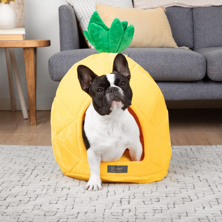 Dog bed pineapple hotsell