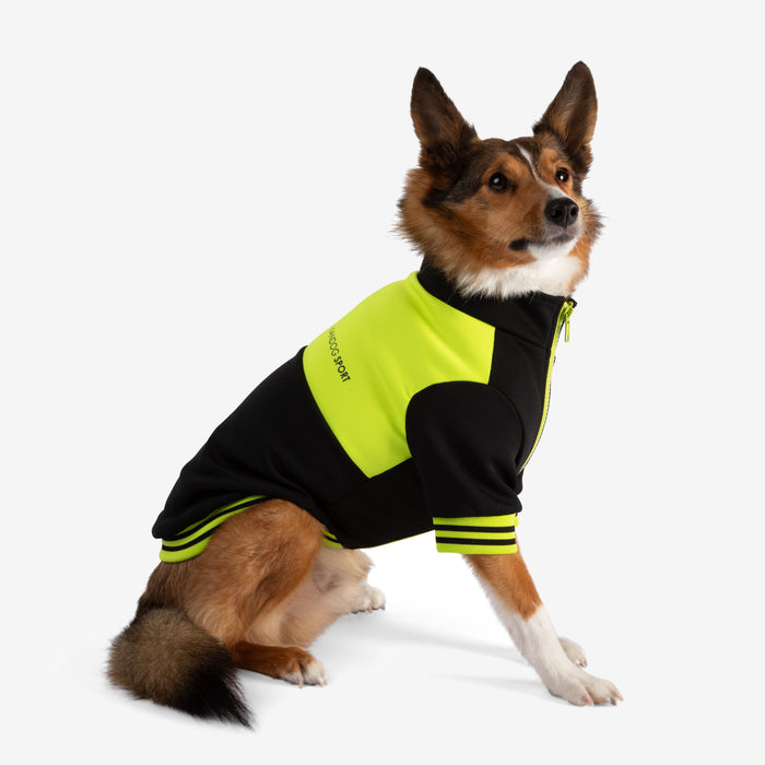 Nandog Sport Jacket Collection