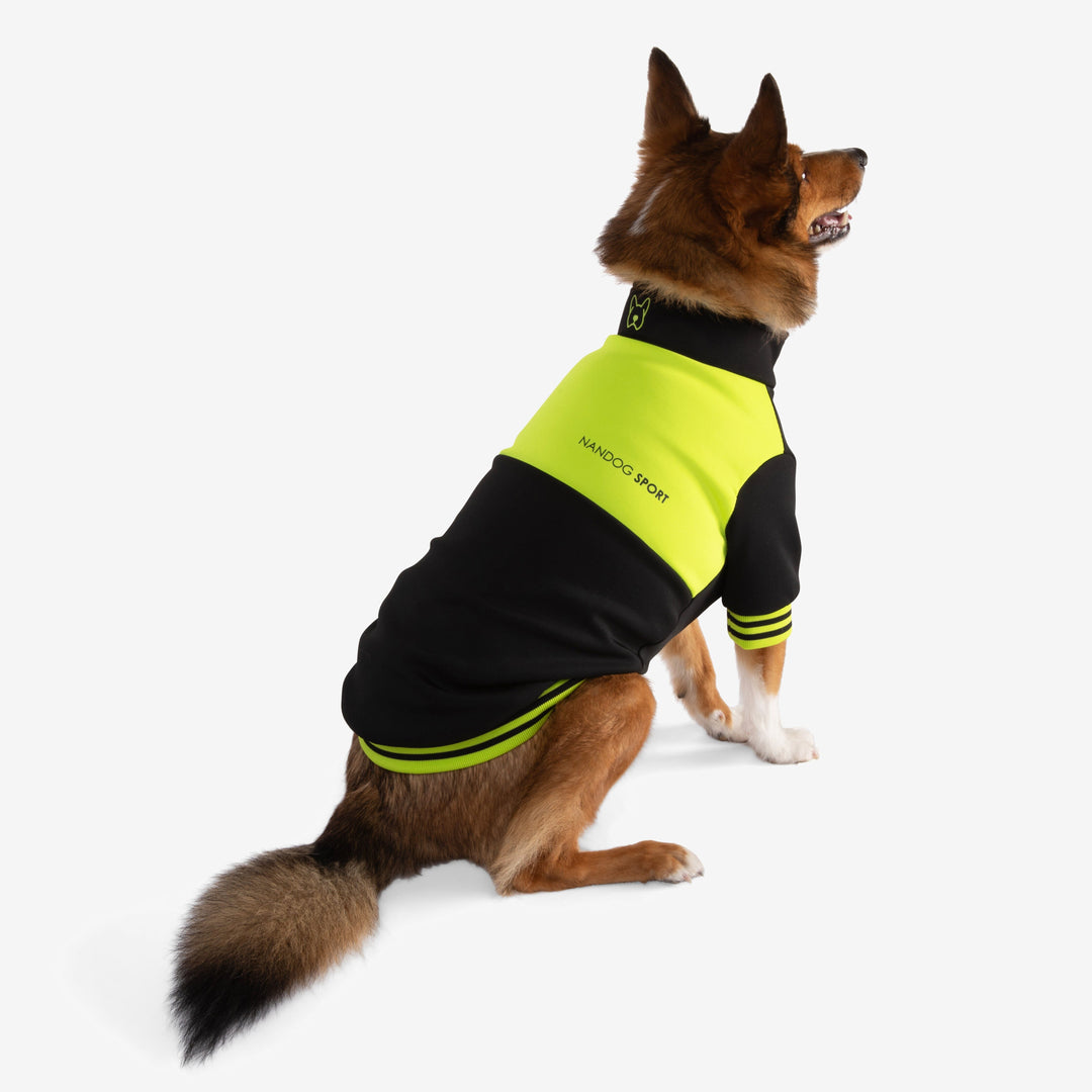 Waterproof Poly-Flex Sport Dog Collar - Black